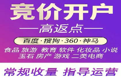 信息流广告的精准定位与效果优化案例分析
